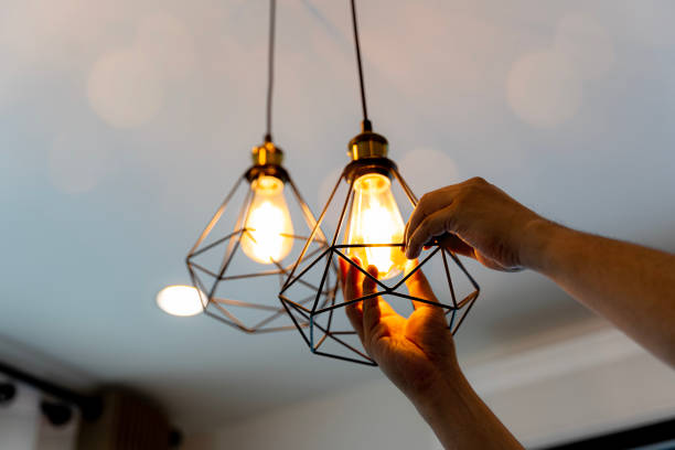 Best Electric Panel Repair  in Citrus Park, FL